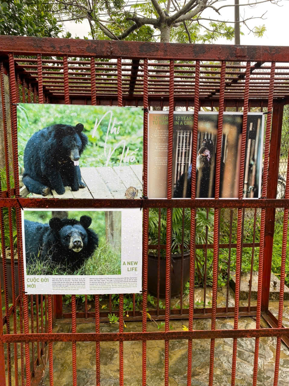 [Good Design]_ Đừng cho gấu mặc áo! Để thiết kế từ một ý định tốt đến tốt thật